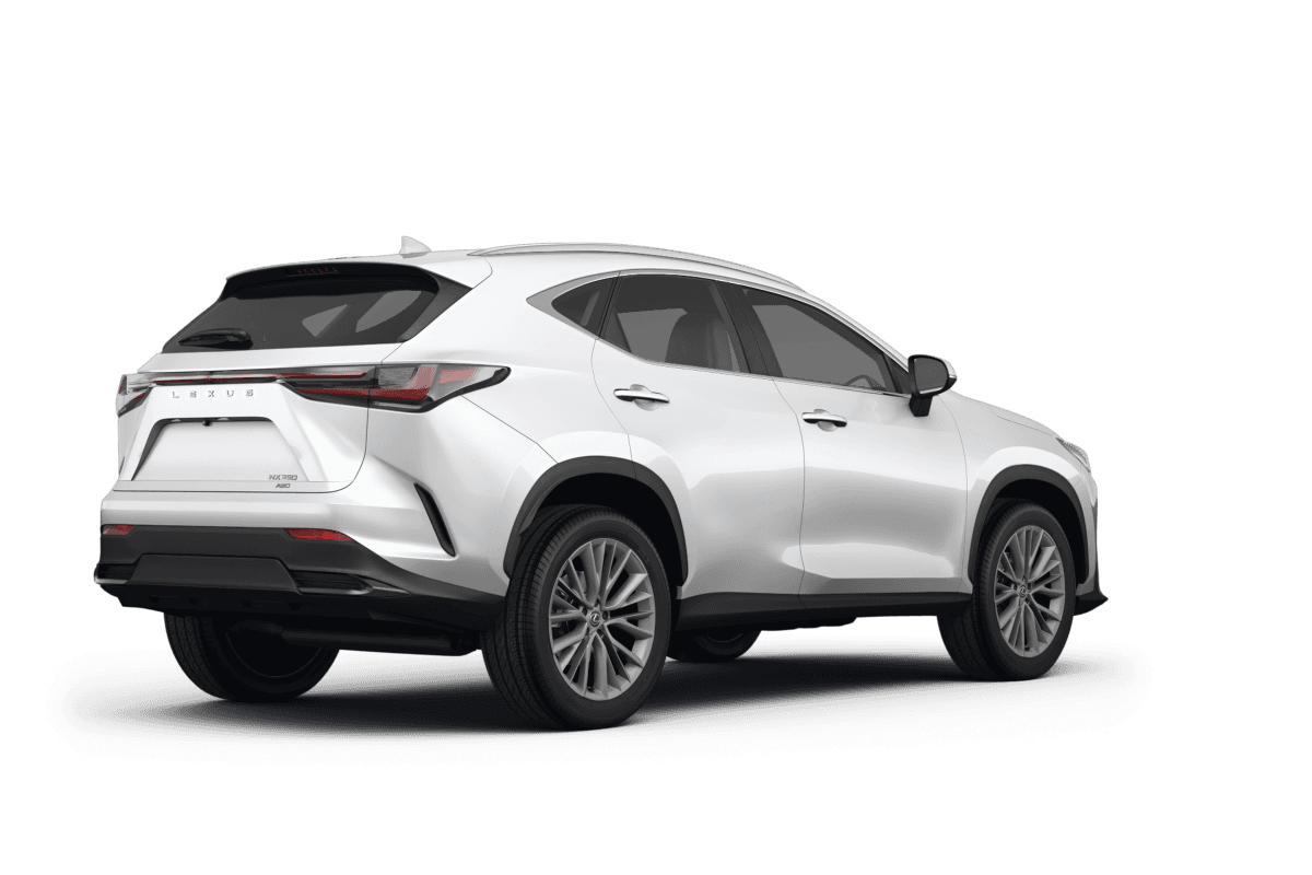 Lexus NX 350  - Back view